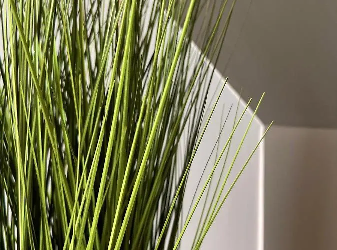 H-85 Level 5/10 * Koblenz (Rhineland-Palatinate)